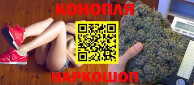 jwh Ставрополь