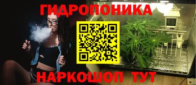 jwh Ставрополь