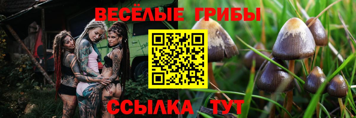 Полевской  Галлюциногенные грибы MAGIC MUSHROOMS  продажа наркотиков  Псилоцибиновые грибы MAGIC MUSHROOMS  Вход с VPN 